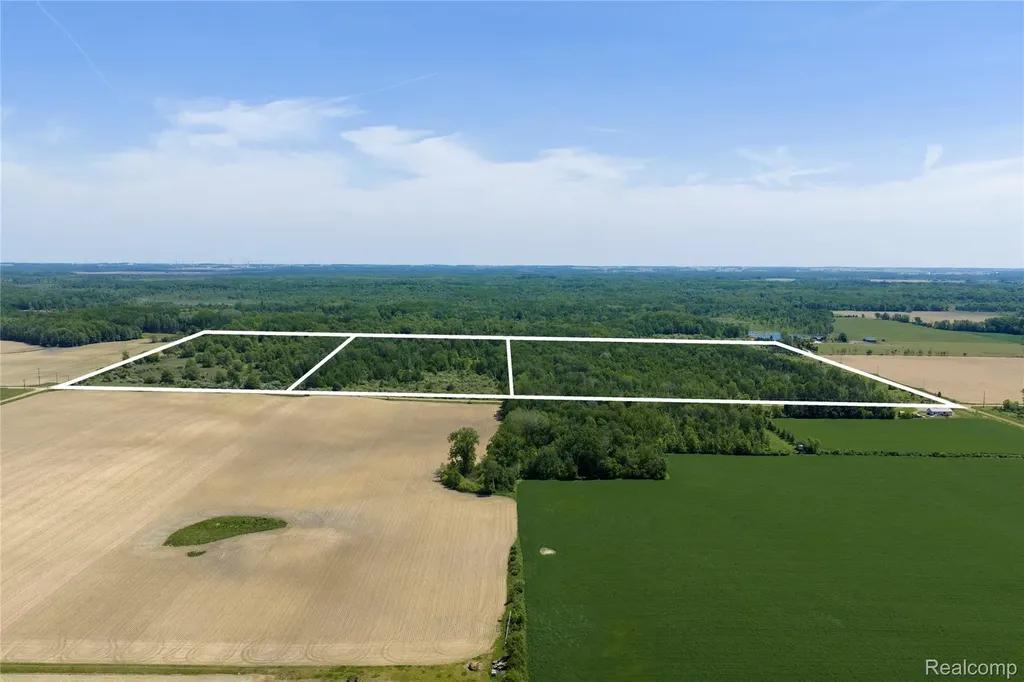 000 Freiburger Road Argyle Township MI 48472