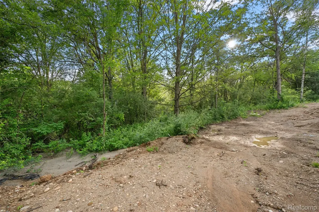 9355 Andersonville Road Springfield Charter Township MI 48346