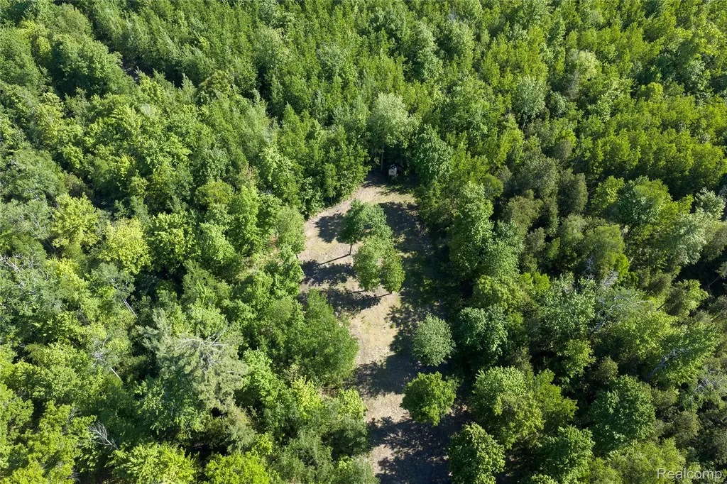 2091 N Athey Hamilton Township MI 48625