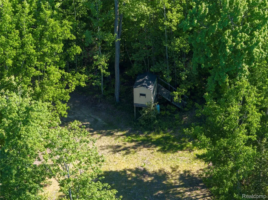 2091 N Athey Hamilton Township MI 48625