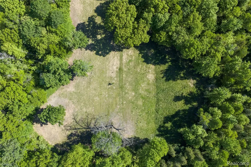 2091 N Athey Hamilton Township MI 48625