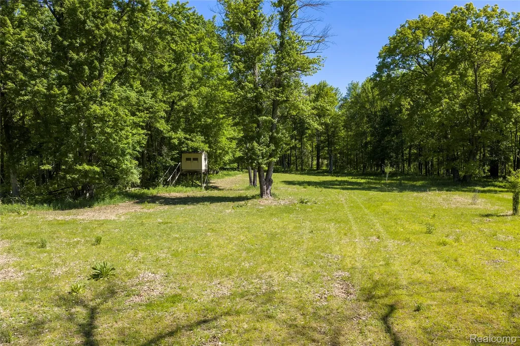 2091 N Athey Hamilton Township MI 48625
