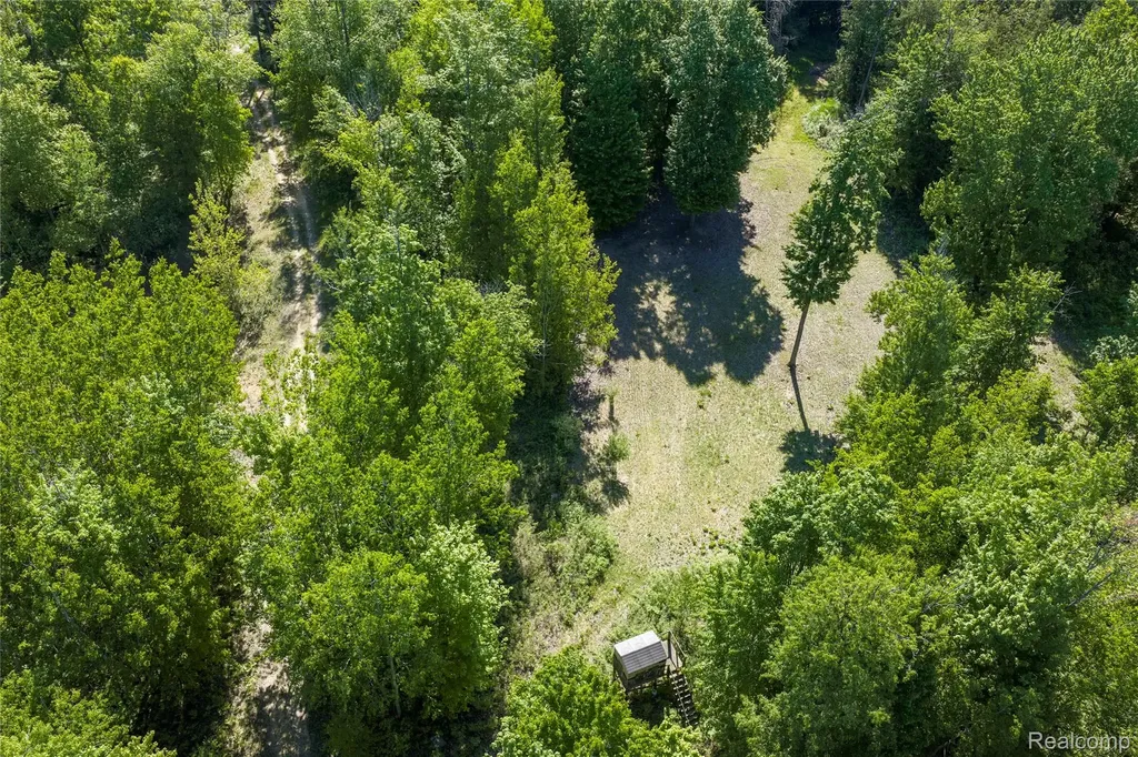 2091 N Athey Hamilton Township MI 48625