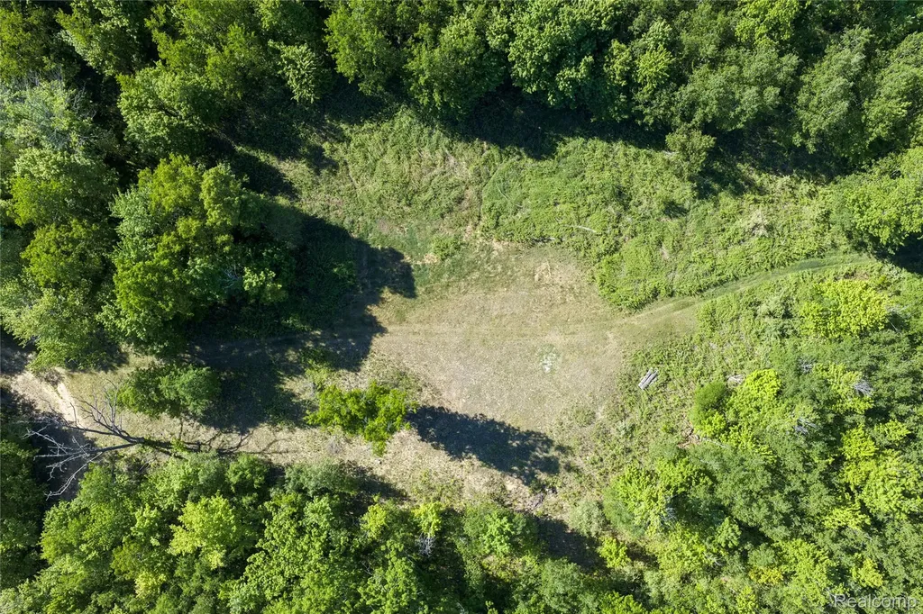 2091 N Athey Hamilton Township MI 48625