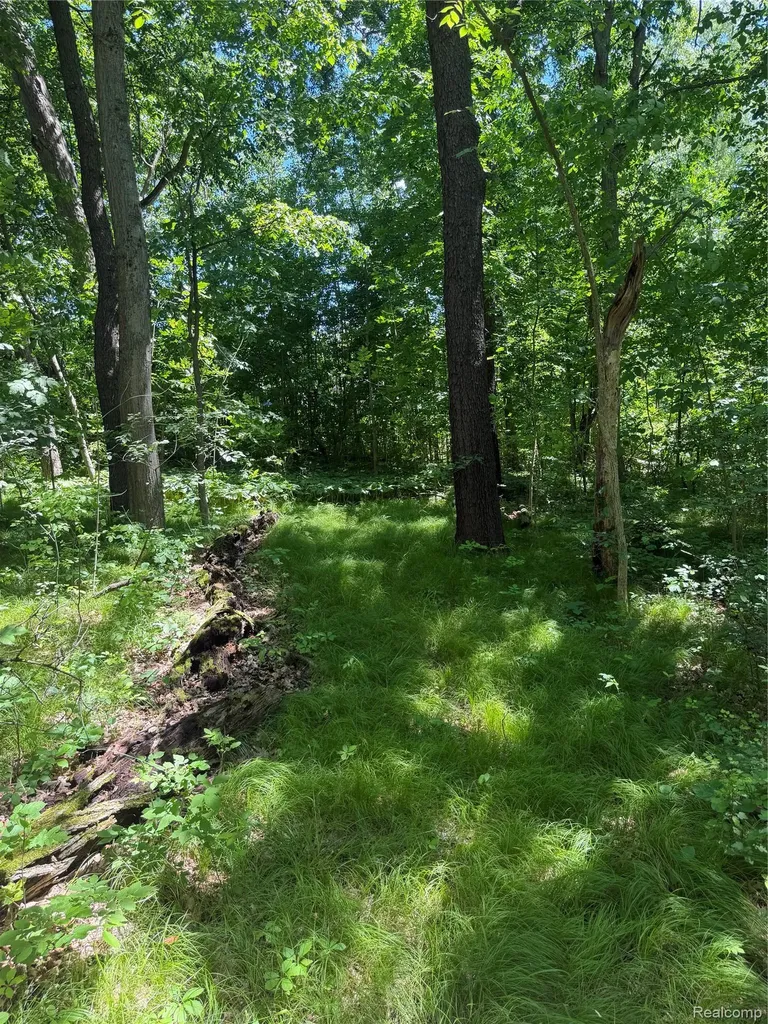 00 Deer Ridge Trail Rose Township MI 48442