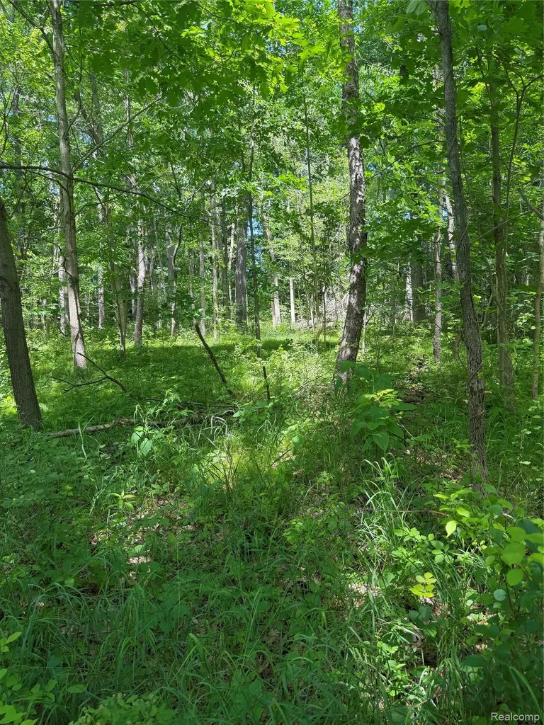 00 Deer Ridge Trail Rose Township MI 48442
