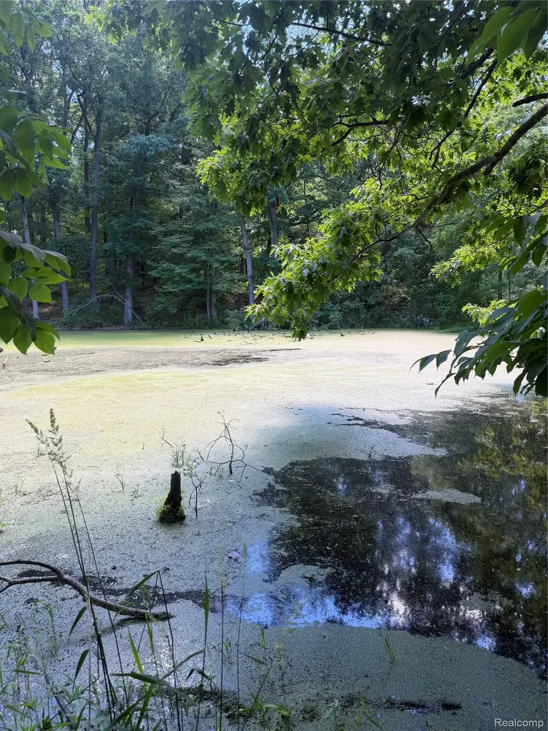 00 Deer Ridge Trail Rose Township MI 48442