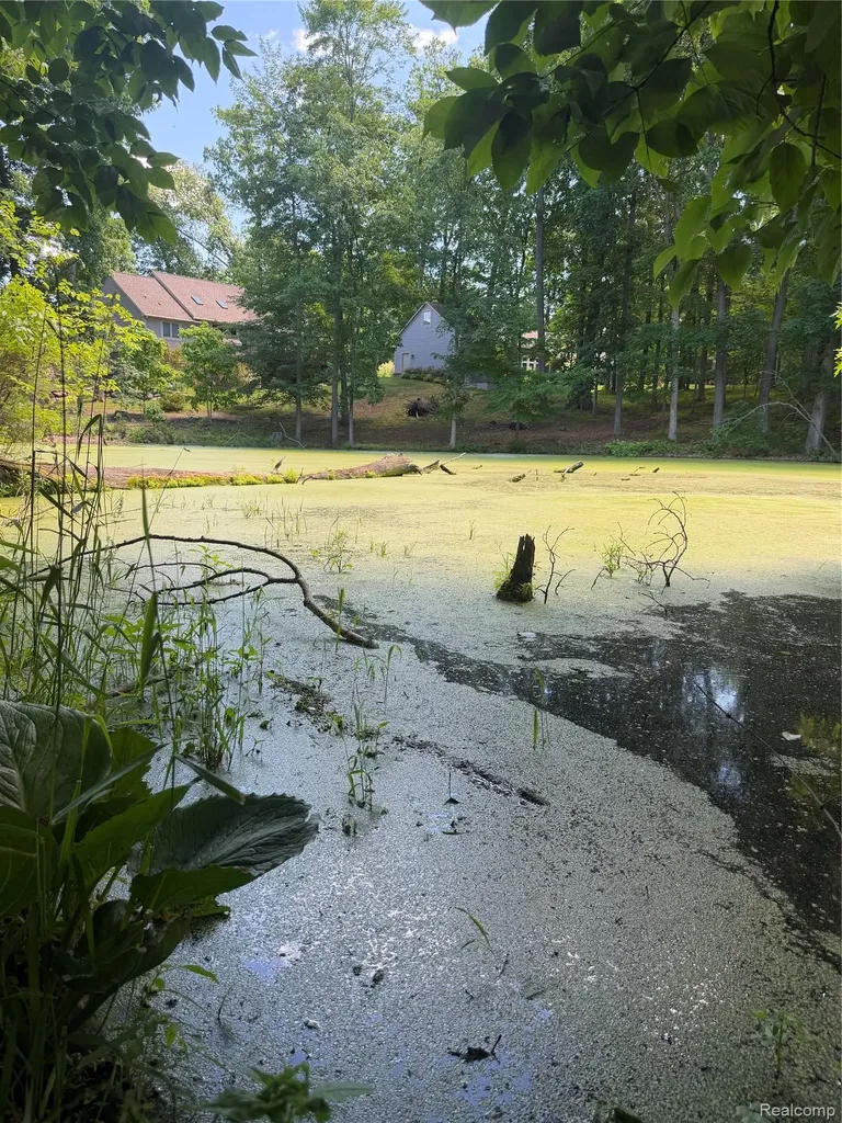 00 Deer Ridge Trail Rose Township MI 48442