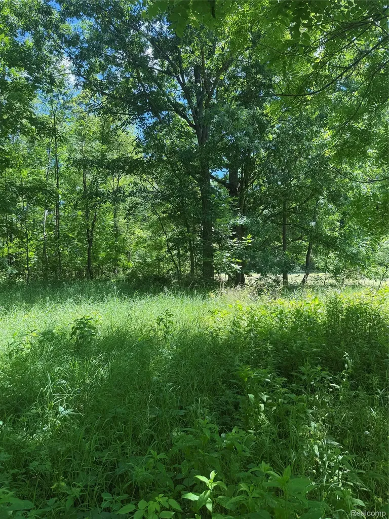 00 Deer Ridge Trail Rose Township MI 48442