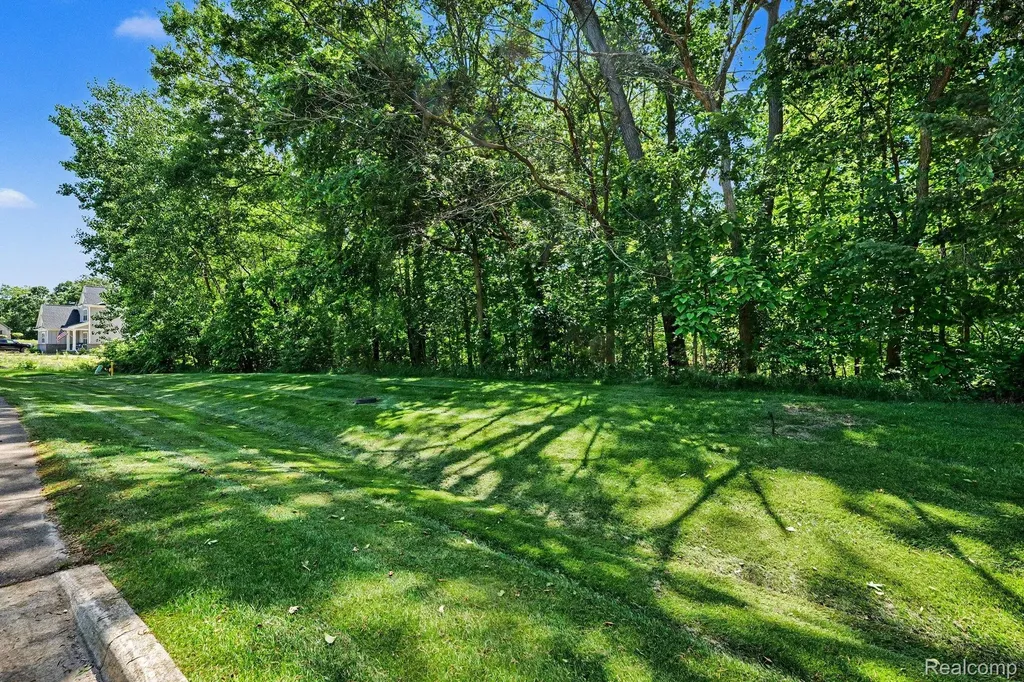 00 Deer Ridge Trail Rose Township MI 48442