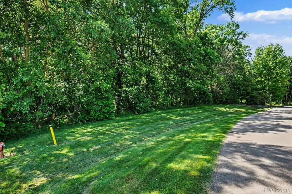00 Deer Ridge Trail Rose Township MI 48442