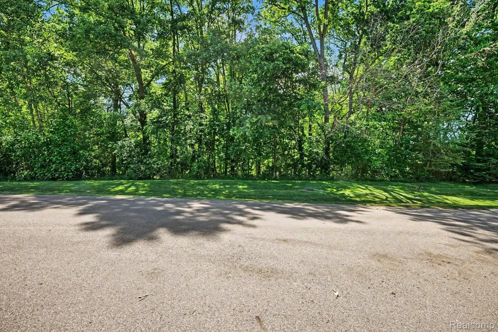 00 Deer Ridge Trail Rose Township MI 48442