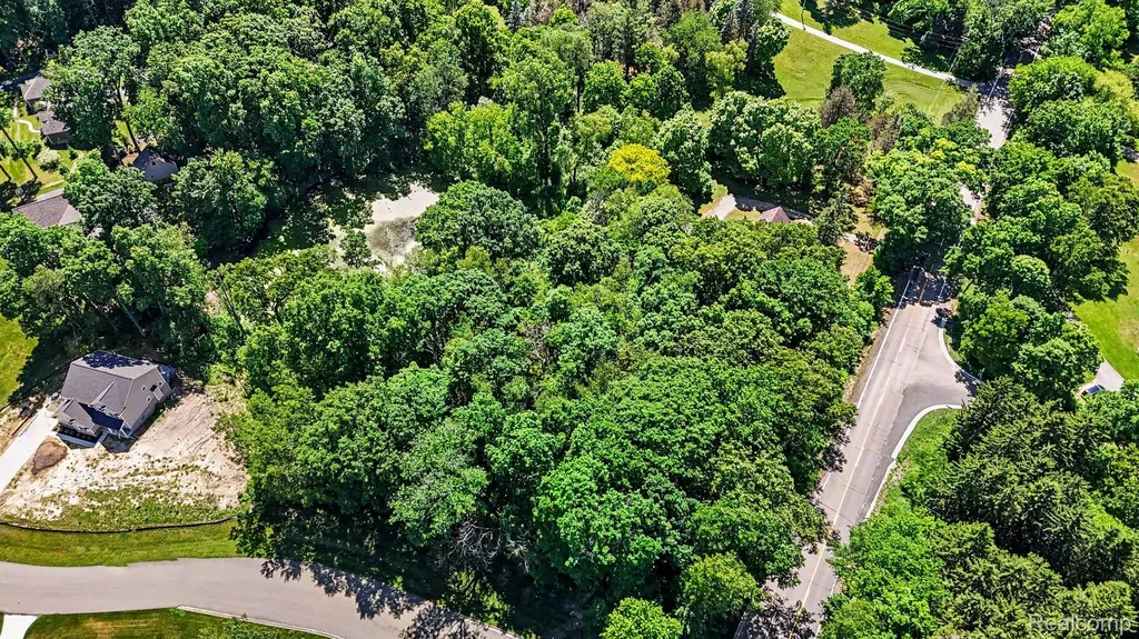 00 Deer Ridge Trail Rose Township MI 48442