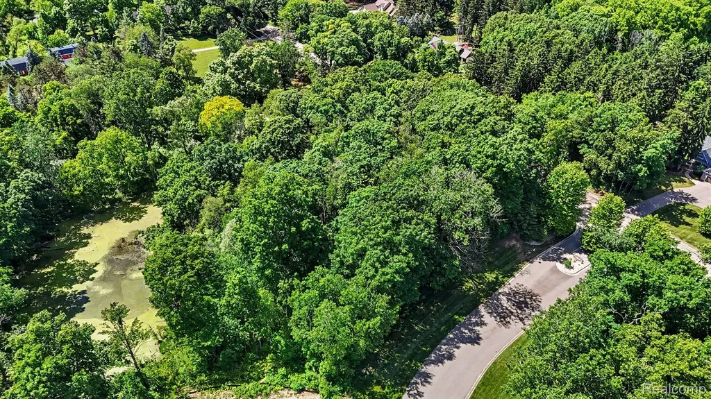 00 Deer Ridge Trail Rose Township MI 48442