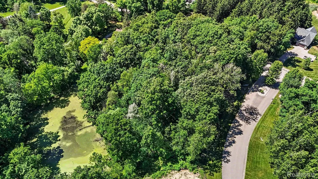 00 Deer Ridge Trail Rose Township MI 48442