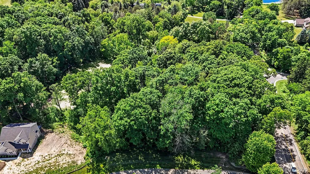 00 Deer Ridge Trail Rose Township MI 48442