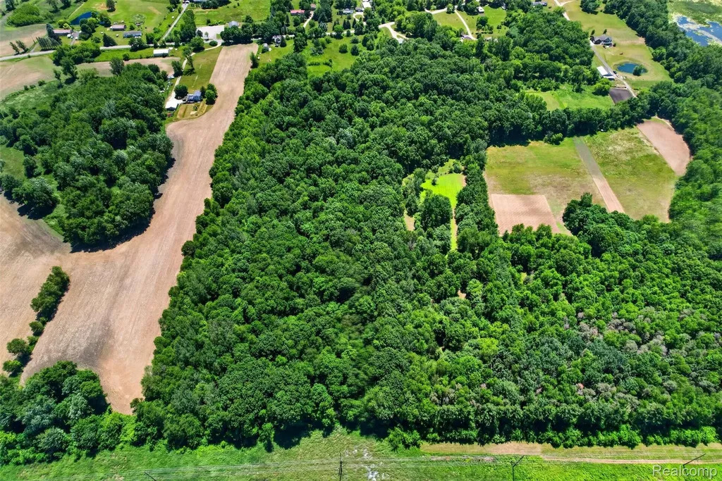 V1 Murray Road Bunker Hill Township MI 48819