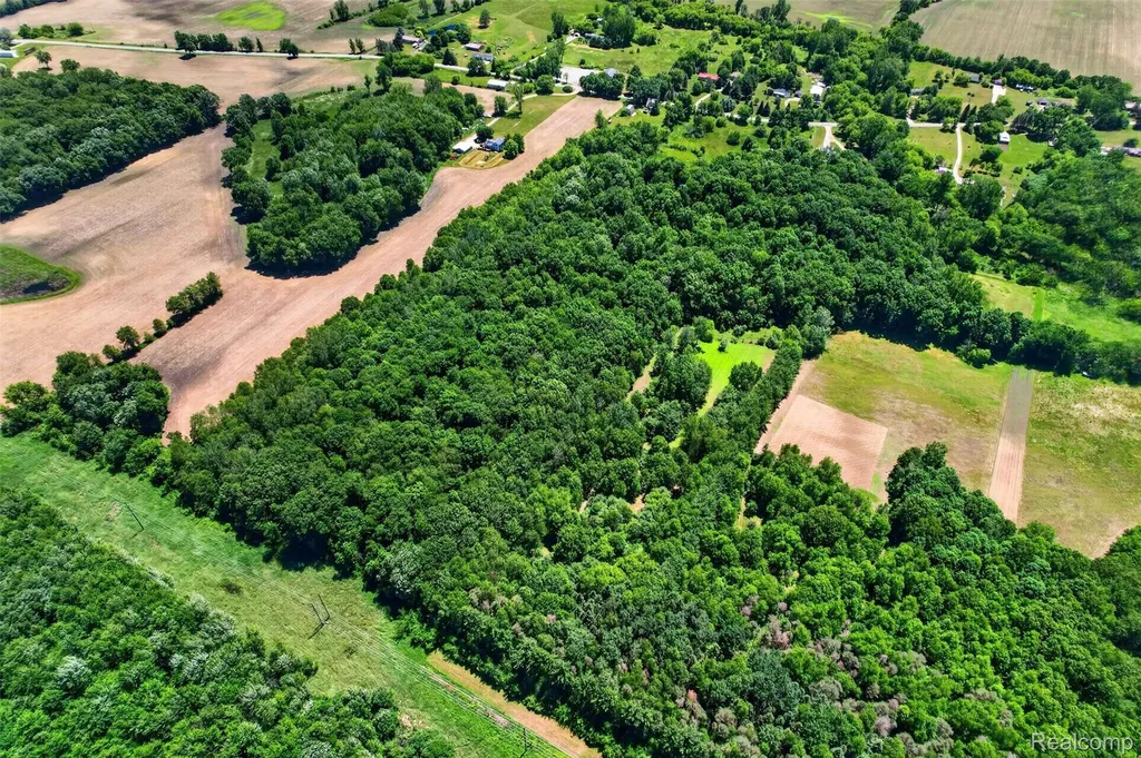 V1 Murray Road Bunker Hill Township MI 48819
