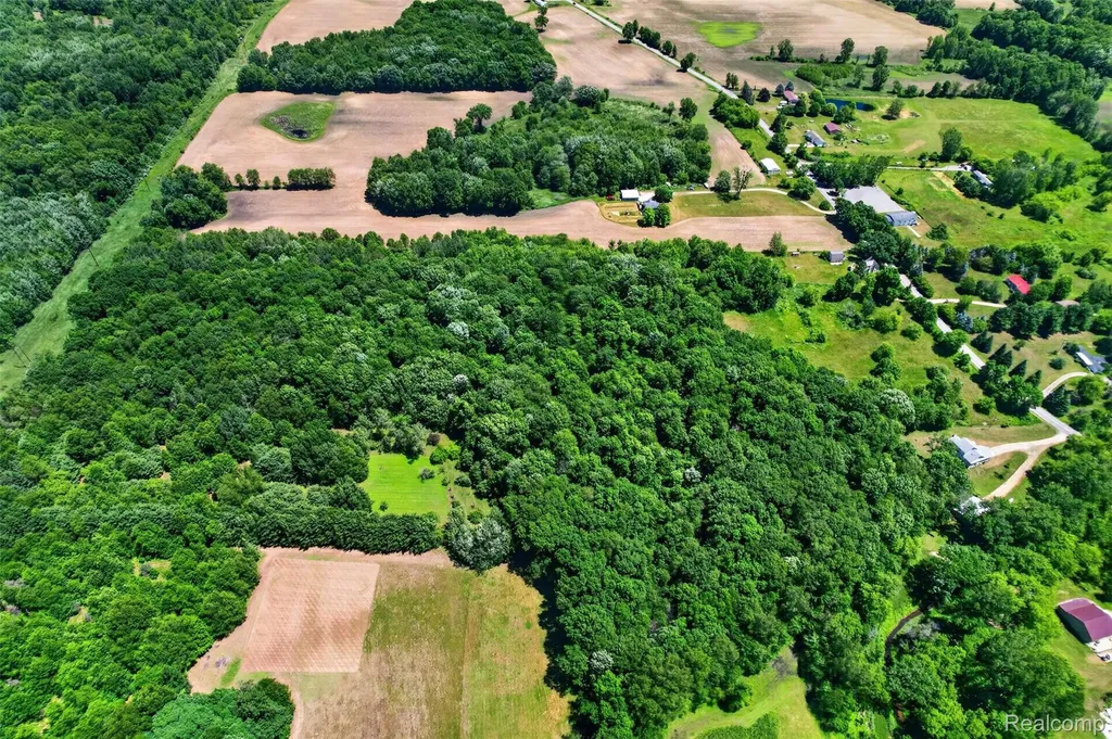 V1 Murray Road Bunker Hill Township MI 48819