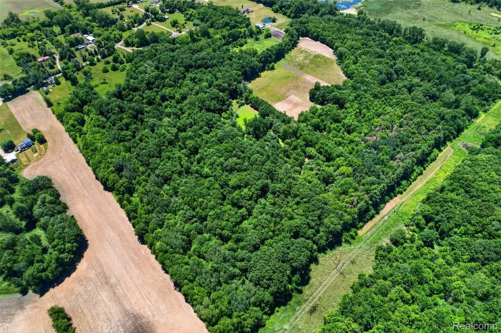 V1 Murray Road Bunker Hill Township MI 48819
