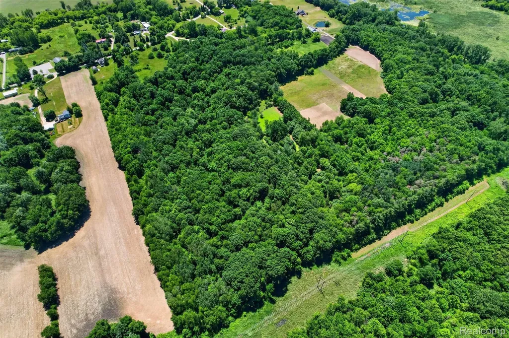 V1 Murray Road Bunker Hill Township MI 48819