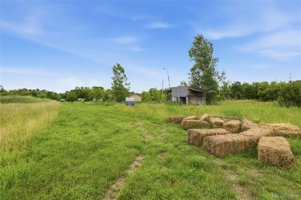 253 Park Street Gaines Village MI 48436
