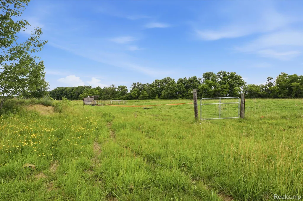 253 Park Street Gaines Village MI 48436