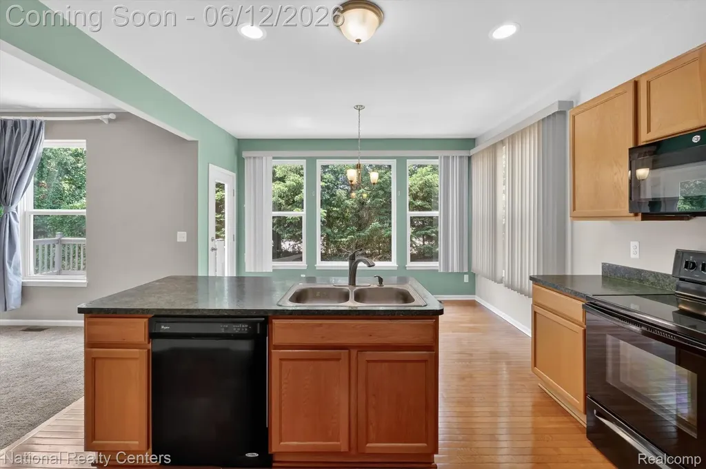 59697 Twin Pines Drive Lyon Charter Township MI 48165