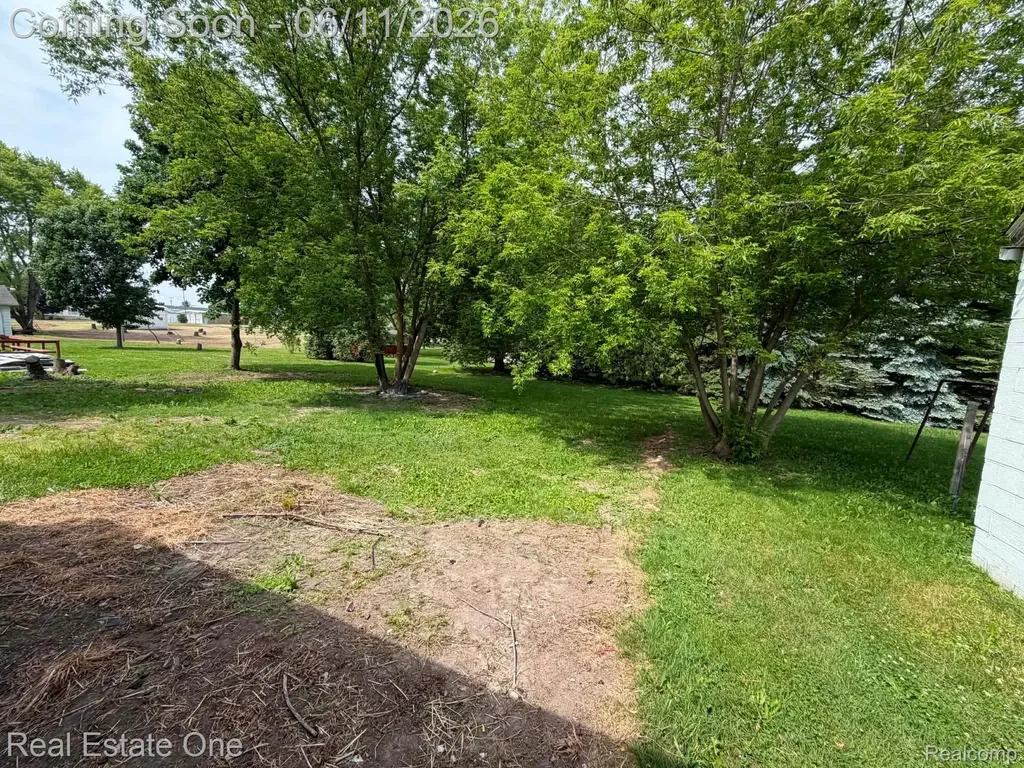 3585 Marcus Street Deckerville Village MI 48427