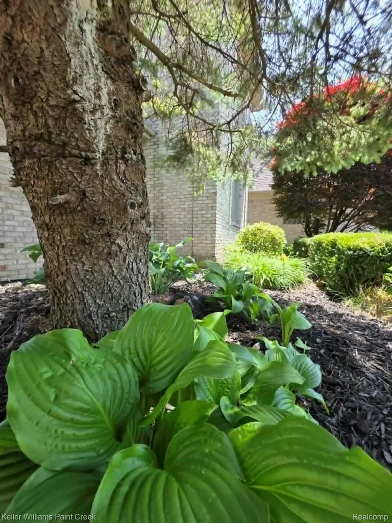 54390 Ashley Lauren Drive Macomb Township MI 48042