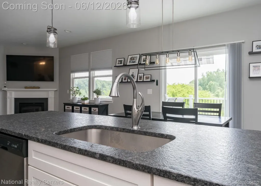2886 Bogues View Drive Oceola Township MI 48843