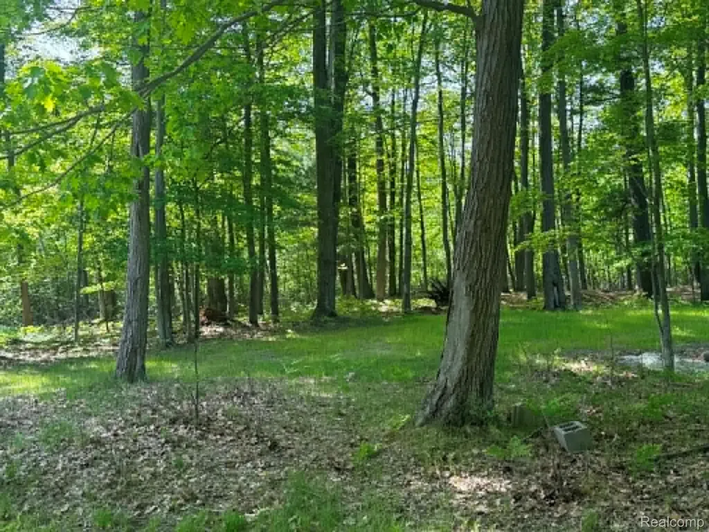Lot 4 Towering Oaks Drive Port Austin Township MI 48467