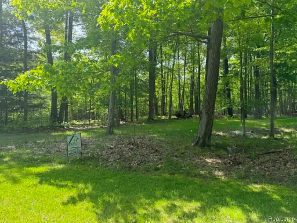 Lot 4 Towering Oaks Drive Port Austin Township MI 48467