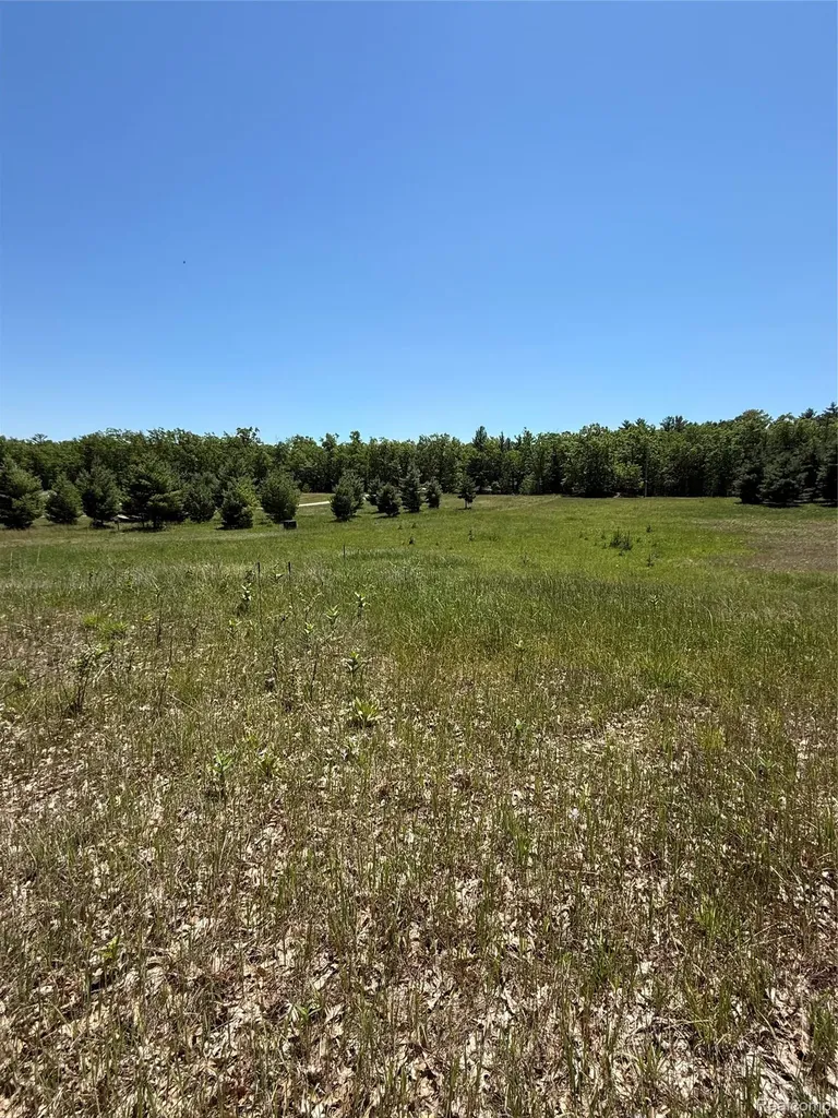 2620 Weaver Road Hume Township MI 48467