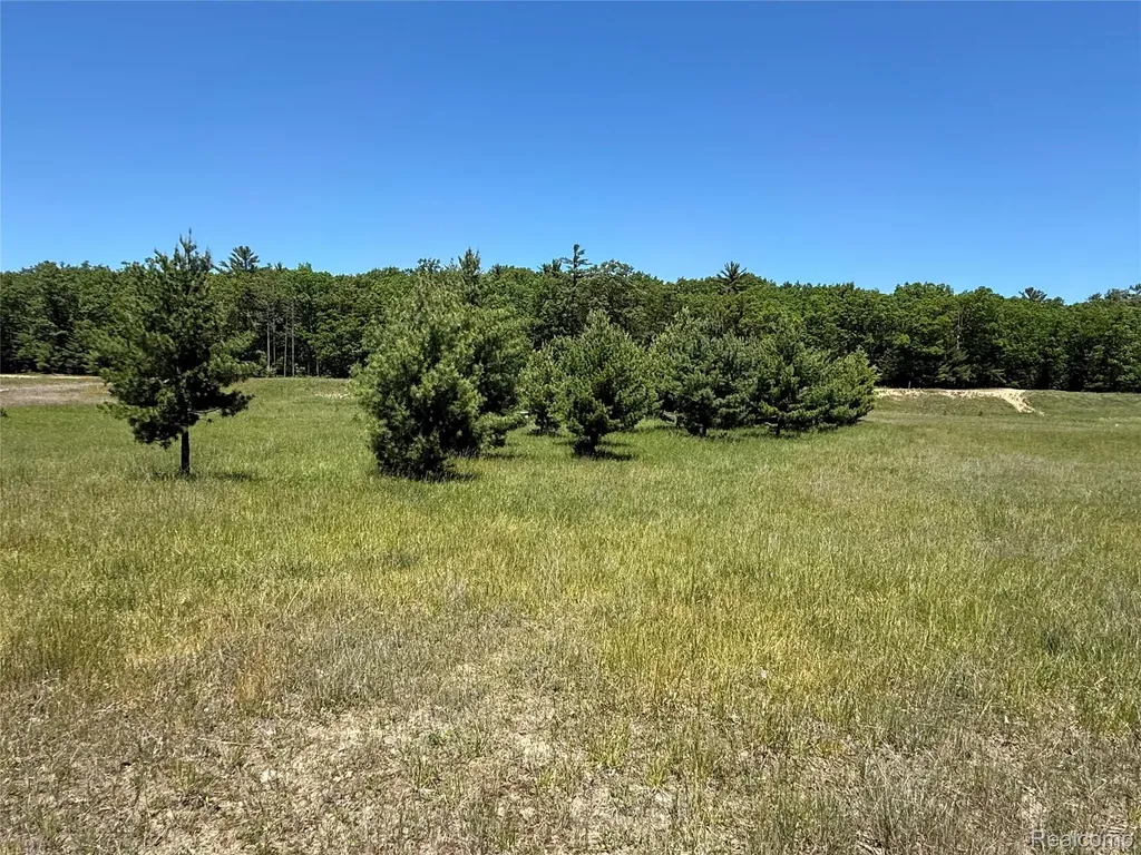 2620 Weaver Road Hume Township MI 48467