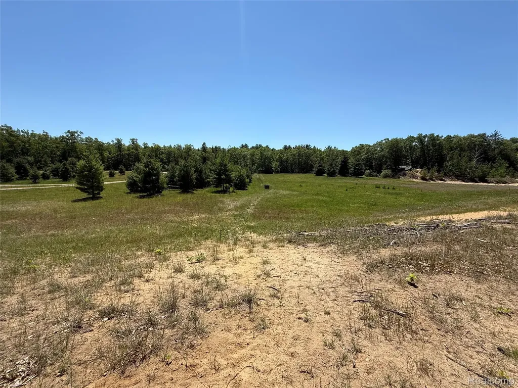 2620 Weaver Road Hume Township MI 48467