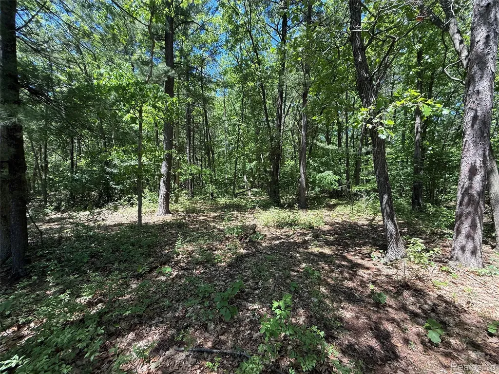 2620 Weaver Road Hume Township MI 48467
