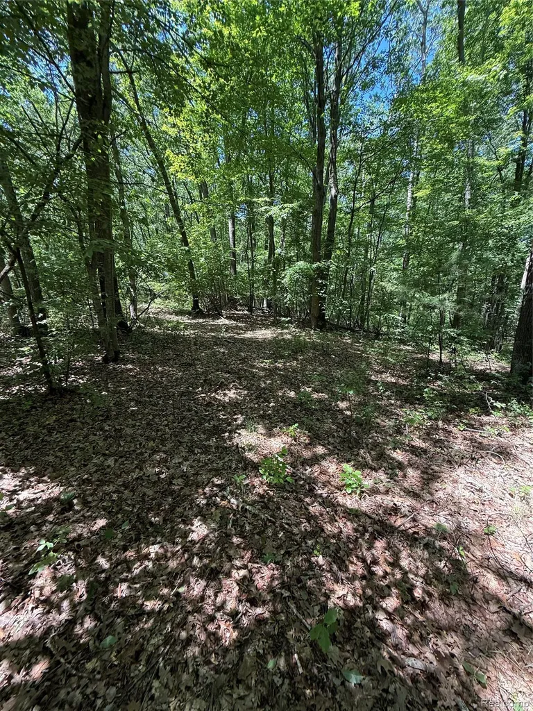 2620 Weaver Road Hume Township MI 48467