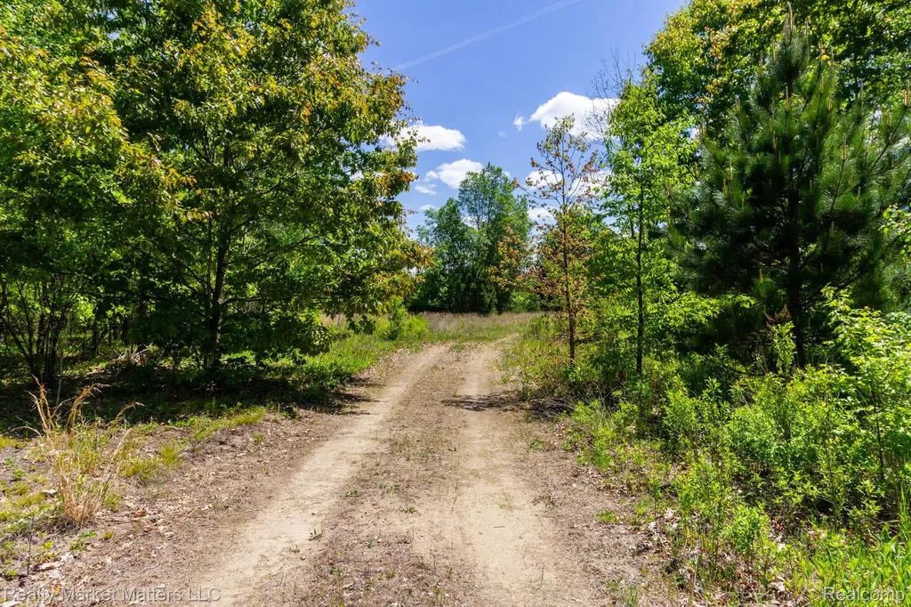 5400 Snow Den Trail Marathon Township MI 48421