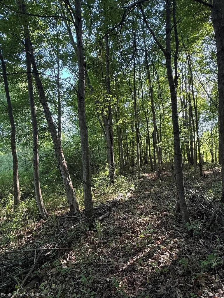 5400 Snow Den Trail Marathon Township MI 48421