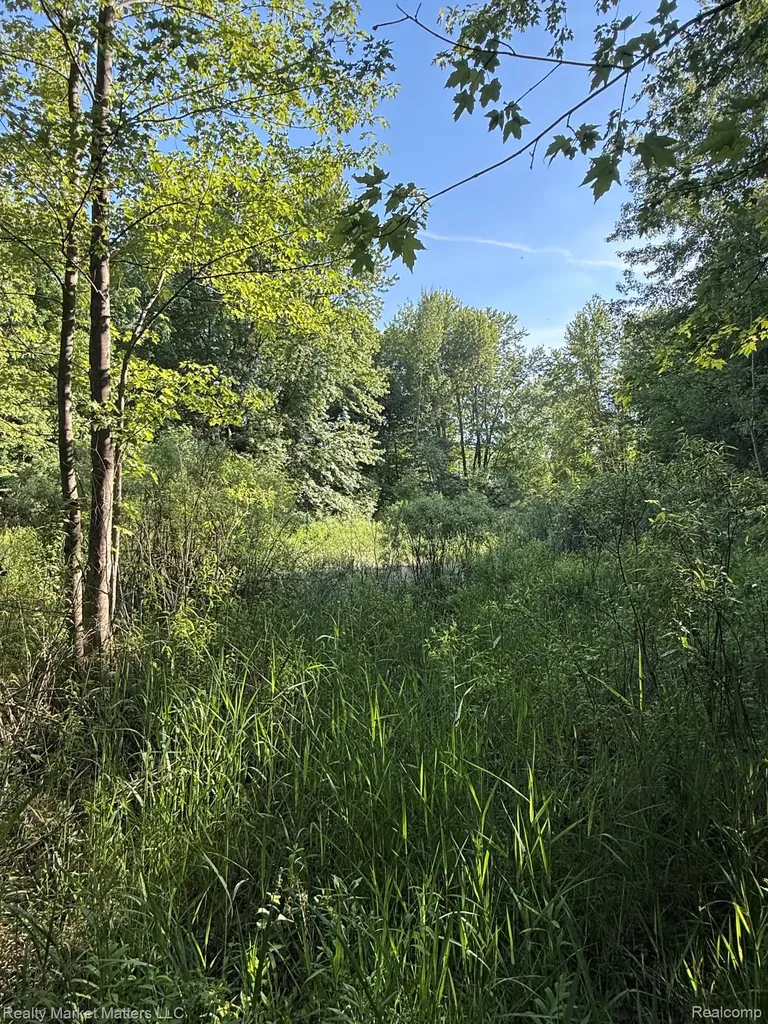 5400 Snow Den Trail Marathon Township MI 48421