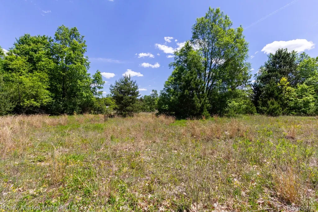 5400 Snow Den Trail Marathon Township MI 48421