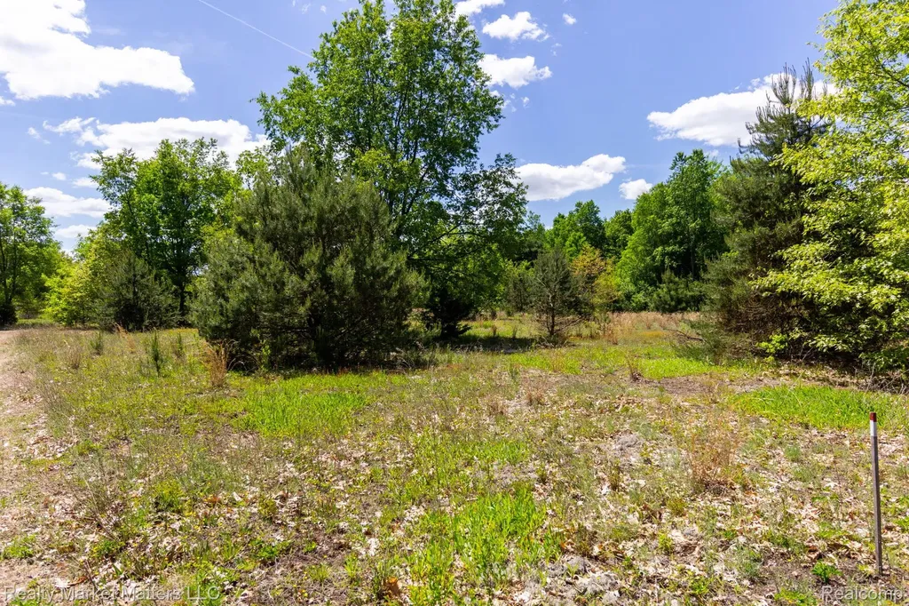 5400 Snow Den Trail Marathon Township MI 48421