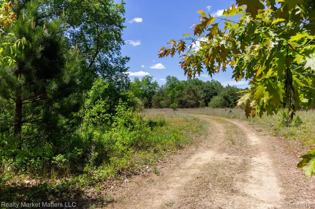5400 Snow Den Trail Marathon Township MI 48421