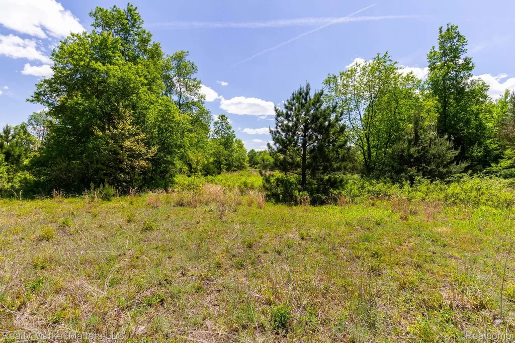 5400 Snow Den Trail Marathon Township MI 48421