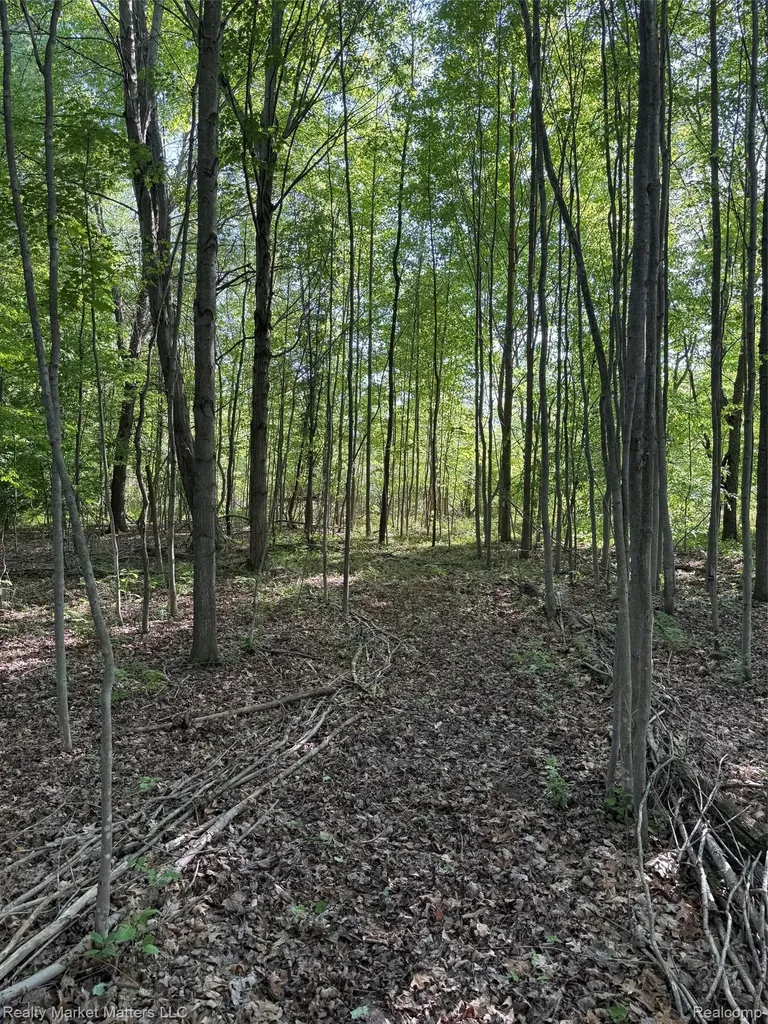 5400 Snow Den Trail Marathon Township MI 48421