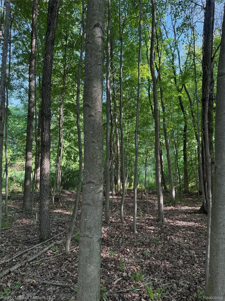 5400 Snow Den Trail Marathon Township MI 48421