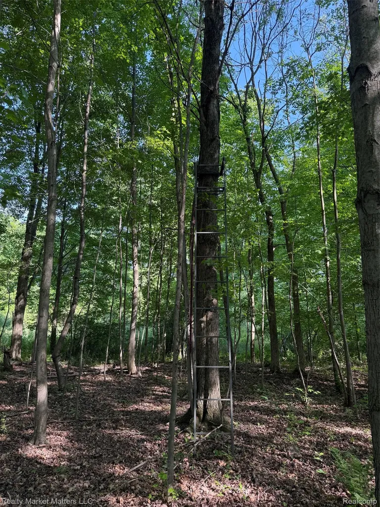 5400 Snow Den Trail Marathon Township MI 48421