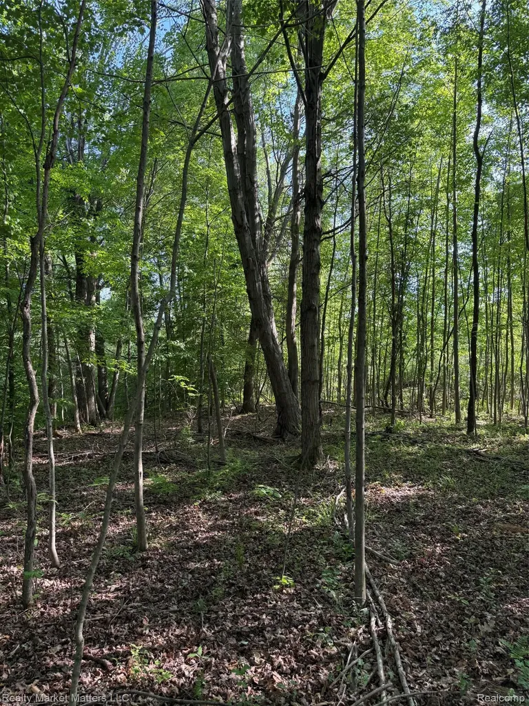 5400 Snow Den Trail Marathon Township MI 48421