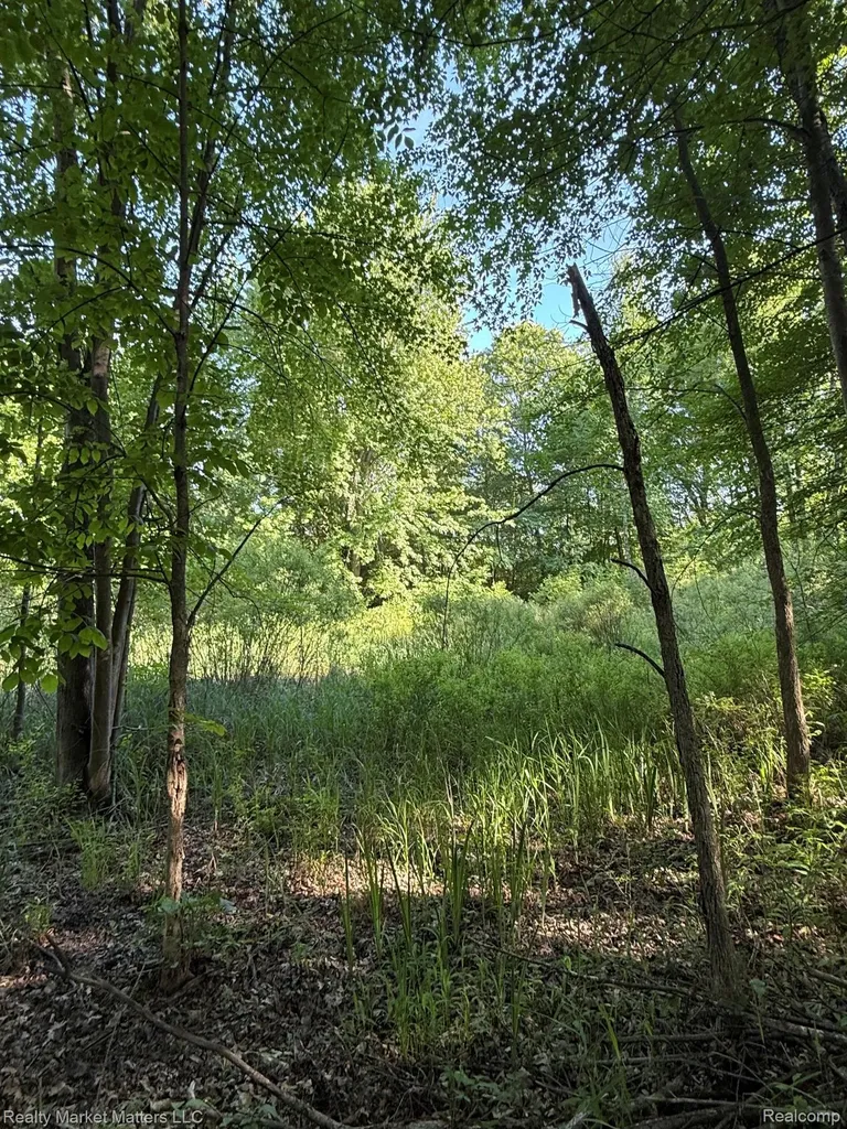 5400 Snow Den Trail Marathon Township MI 48421